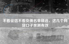 不看征信不看负债名单精选，这几个网贷口子亲测有效