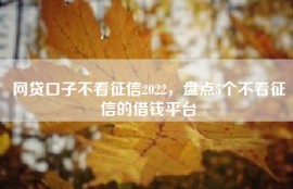网贷口子不看征信2022，盘点5个不看征信的借钱平台