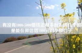 有没有1000-5000借钱正规平台？这几个都是能在微信借1000元的小额口子