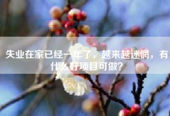 失业在家已经一年了，越来越迷惘，有什么好项目可做？