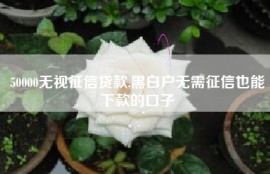 50000无视征信贷款,黑白户无需征信也能下款的口子