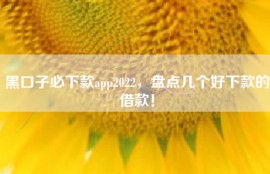 黑口子必下款app2022，盘点几个好下款的借款！