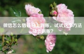 微信怎么借钱马上到账，试试这个方法马上到账？