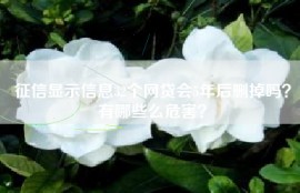 征信显示信息32个网贷会5年后删掉吗？有哪些么危害？