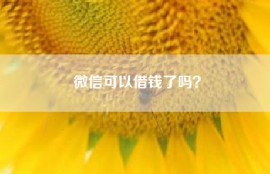 微信可以借钱了吗？