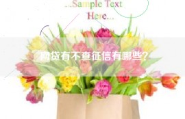网贷有不查征信有哪些？