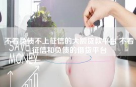 不看负债不上征信的大额贷款平台 不看征信和负债的借贷平台