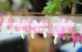 500小额贷款平台有哪些，超小额贷款500元秒到