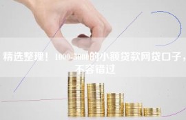 精选整理！1000-5000的小额贷款网贷口子，不容错过