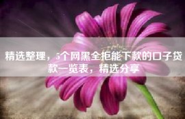 精选整理，5个网黑全拒能下款的口子贷款一览表，精选分享