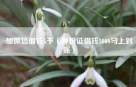 加微信借钱5千（身份证借钱5000马上到账）