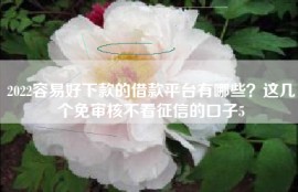 2022容易好下款的借款平台有哪些？这几个免审核不看征信的口子5