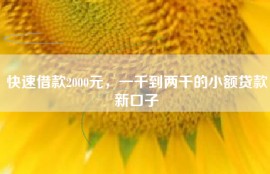 快速借款2000元，一千到两千的小额贷款新口子