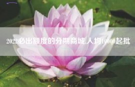 2022必出额度的分期商城,人均10000起批