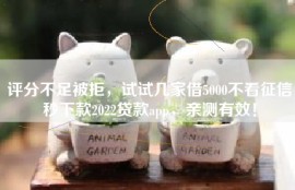 评分不足被拒，试试几家借5000不看征信秒下款2022贷款app，亲测有效！
