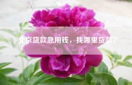 北京贷款急用钱，找哪里贷款？