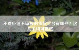 不查征信不审核的贷款平台有哪些？这几个均可尝试