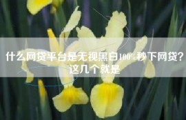 什么网贷平台是无视黑白100%秒下网贷？这几个就是
