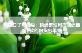 网贷口子热门篇：精选整理风控了还能下款的网贷名单！