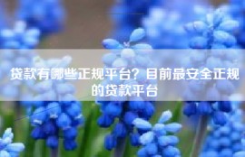 贷款有哪些正规平台？目前最安全正规的贷款平台