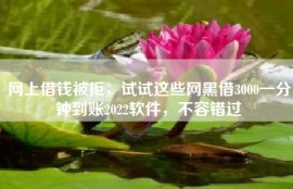 网上借钱被拒，试试这些网黑借3000一分钟到账2022软件，不容错过