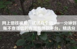 网上借钱被拒，试试几个借3000一分钟到账不查征信的有哪些借款平台，精选分享