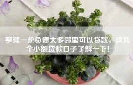 整理一份负债太多哪里可以贷款，这几个小额贷款口子了解一下！