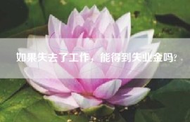 如果失去了工作，能得到失业金吗?