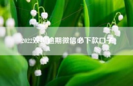 2022双黑逾期微信必下款口子