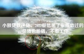小额贷款速贷，2022征信黑了审核必过的，负债也能借，不看工作