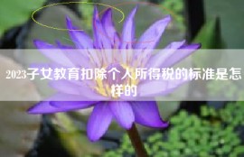 2023子女教育扣除个人所得税的标准是怎样的
