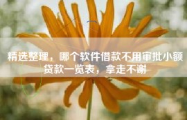 精选整理，哪个软件借款不用审批小额贷款一览表，拿走不谢