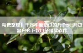 精选整理！千万不能错过的几个2022网贷黑户必下款口子借款软件