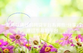 一定可以通过的网贷平台有哪些?分享5个通过率高的平台