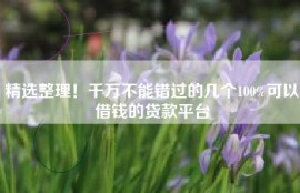 精选整理！千万不能错过的几个100%可以借钱的贷款平台