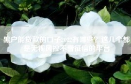 黑户能贷款的口子2022有哪些？这几个都是无视风控不看征信的平台