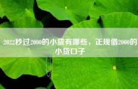 2022秒过2000的小贷有哪些，正规借2000的小贷口子
