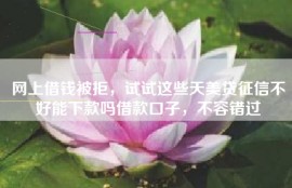 网上借钱被拒，试试这些天美贷征信不好能下款吗借款口子，不容错过