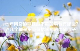 2022年网贷逾期还能下款的平台有哪些？这几个都是不查征信逾期的网贷口子