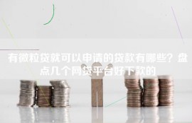 有微粒贷就可以申请的贷款有哪些？盘点几个网贷平台好下款的