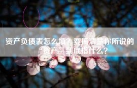 资产负债表怎么填？要搞清楚你所说的“资产”到底指什么？