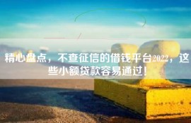 精心盘点，不查征信的借钱平台2022，这些小额贷款容易通过！