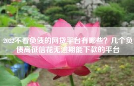 2022不看负债的网贷平台有哪些？几个负债高征信花无逾期能下款的平台