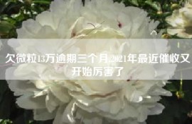 欠微粒13万逾期三个月,2021年最近催收又开始厉害了