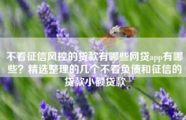不看征信风控的贷款有哪些网贷app有哪些？精选整理的几个不看负债和征信的贷款小额贷款