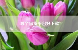 哪个借贷平台好下款