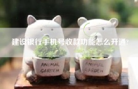 建设银行手机号收款功能怎么开通?