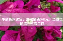小额贷款速贷，急需借钱3000元，负债也能借，不看工作