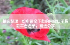 精选整理一份申请必下款的网贷口子贷款平台名单，精选分享