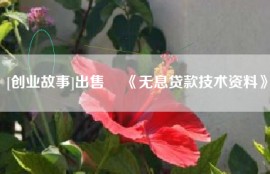 [创业故事]出售 　《无息贷款技术资料》